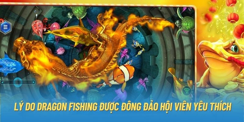 Lý do Dragon Fishing được đông đảo hội viên yêu thích