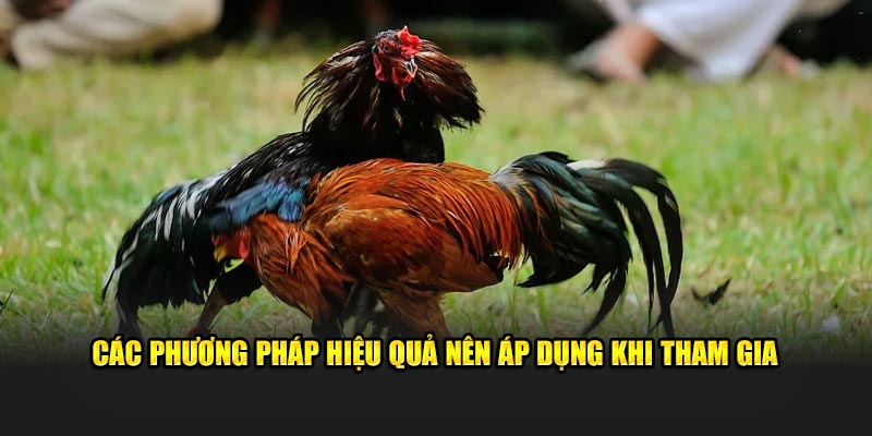 Các phương pháp hiệu quả nên áp dụng khi tham gia 