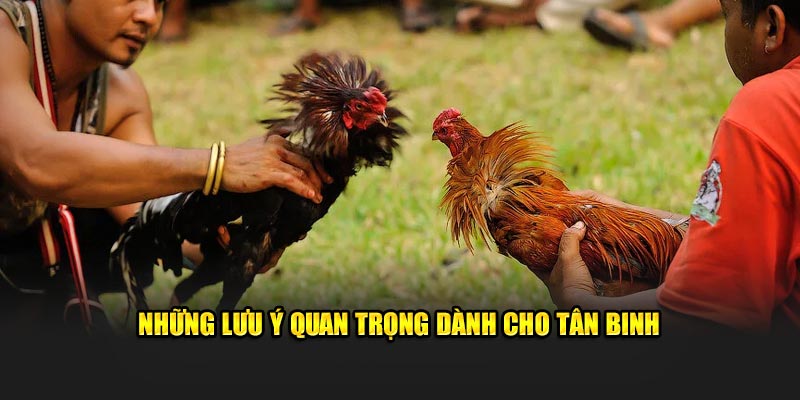 Những lưu ý cực kỳ quan trọng dành cho tân binh 